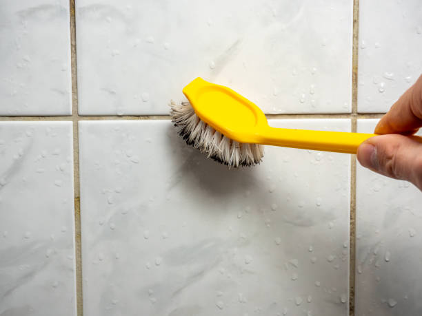 Best Local Mold Removal Service  in Ruidoso, NM