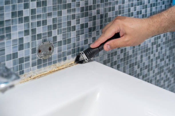 Best Toxic Mold Removal  in Ruidoso, NM