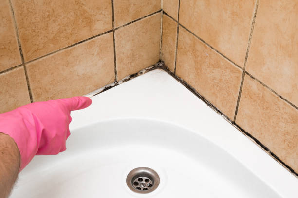 Best Mold Testing  in Ruidoso, NM